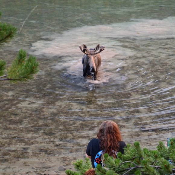 Meet your Posher, Carly - Picture 2 of 2